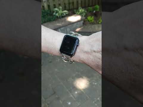 Silver Fork Apple Watch Band